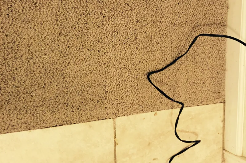 Berber Carpet Repair