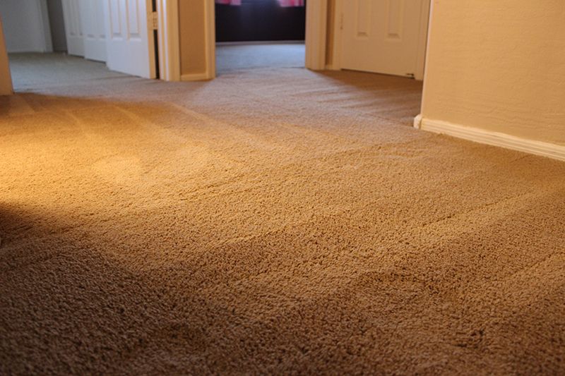 Carpet Stretching after repair