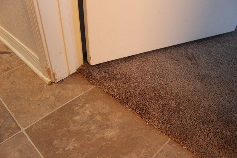 Pet Damage after repair