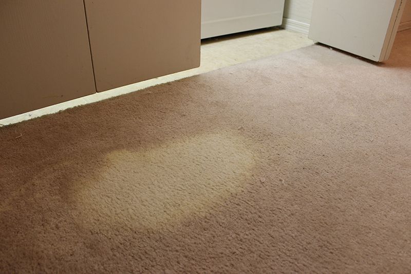 Bleach Stain before repair