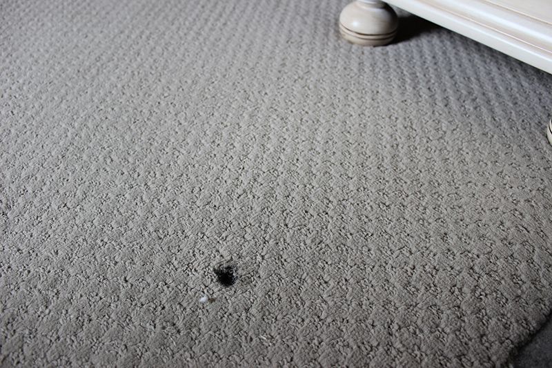 Carpet Burn before repair