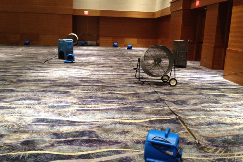 Water Damaged Carpet before repair